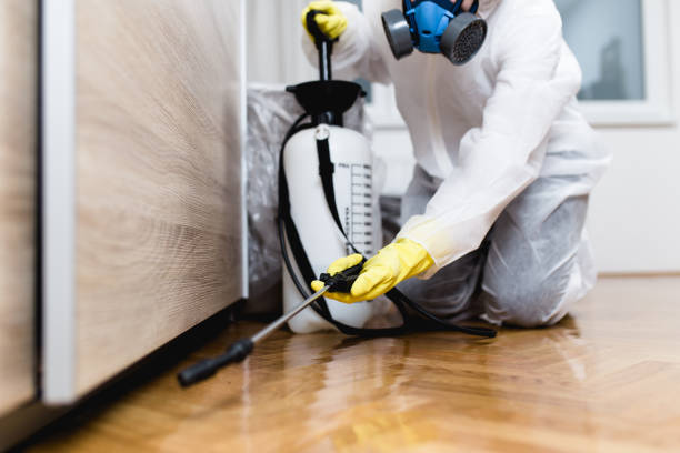 Best Best Pest Control Companies  in Crawfordville, FL