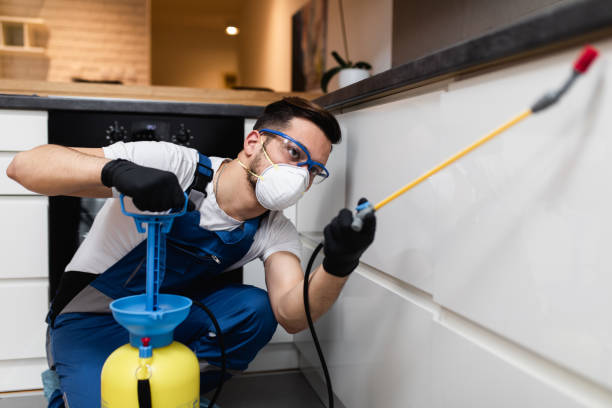 Best Wasp Removal Services  in Crawfordville, FL