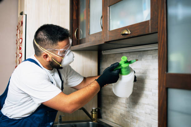 Trusted Crawfordville, FL Pest Control Experts