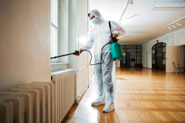 Best Termite Control Services  in Crawfordville, FL